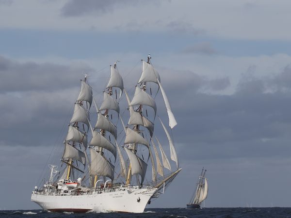 Das Vollschiff "Dar Mlodziezy" unter Segeln