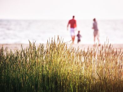 Barrierefreiheit: alternativer Text 