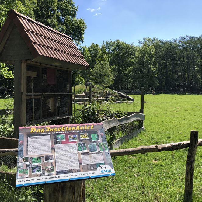 Grüne Wiese mit Insektenhotel aus Holz, Infotafel des NABU und dahinter dichter Baumbestand.
