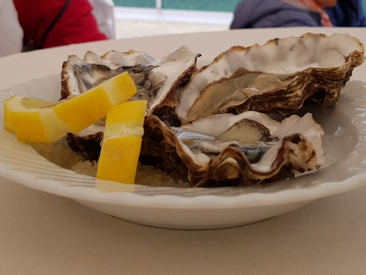 Austern auf einem Teller