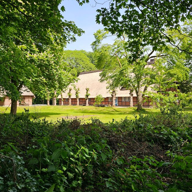 Historisches Fachwerkhaus mit Reetdach, umgeben von hohen Bäumen und einer grünen Wiese.