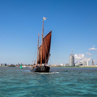 Die Adler von Krautsand auf der Weser