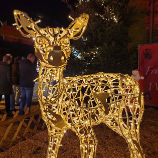 Beleuchtetes Rentier auf Weihnachtsmarkt