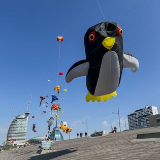 Drachenfest in Bremerhaven. Fliegende Drachen am Deich.