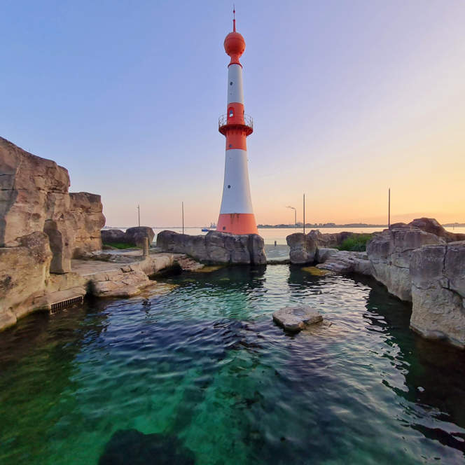 Blick über ein Wasserbecken im Zoo am Meer auf das Minarett mit der Weser dahinter