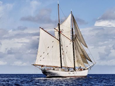 Segelschiff Avontuur
